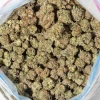 Shiva Skunk (AA/AA+ Popcorn
