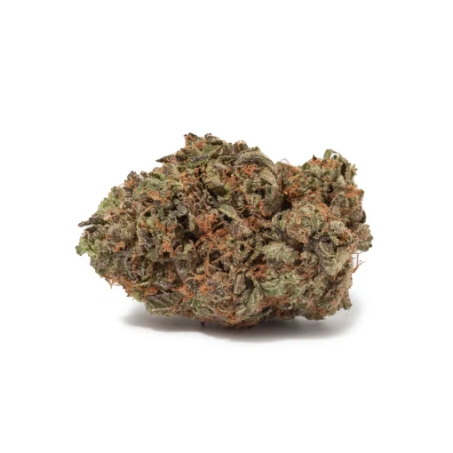 Shiva Skunk (AA/AA+ Popcorn
