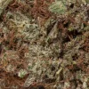 Dark Star (AAAA)
