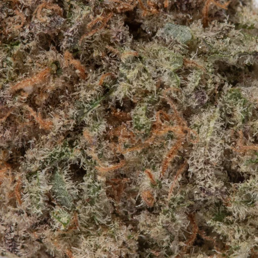 Slurricane Smalls (AAAAA/Craft)