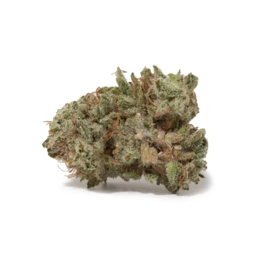 Snow Bud (AAAA/Popcorn)
