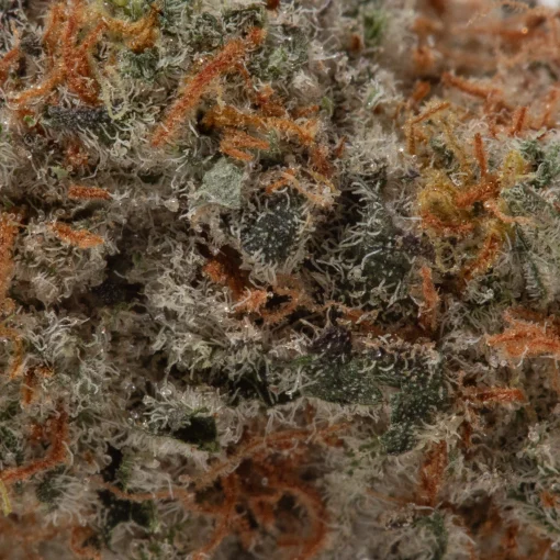 Supreme Pink Kush (AAAA+)