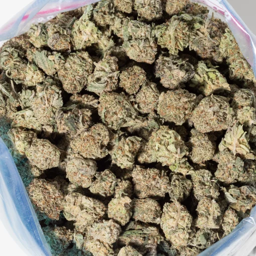 White Rhino Smalls (AAAA)