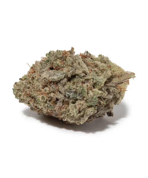 White Rhino Smalls (AAAA)