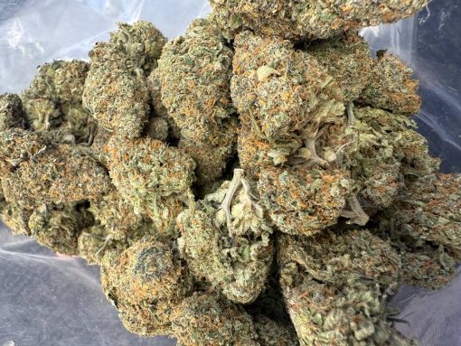 Sherb Cream Pie (AAAA+)