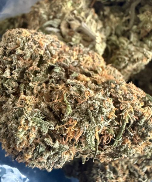 Sherb Cream Pie (AAAA+)