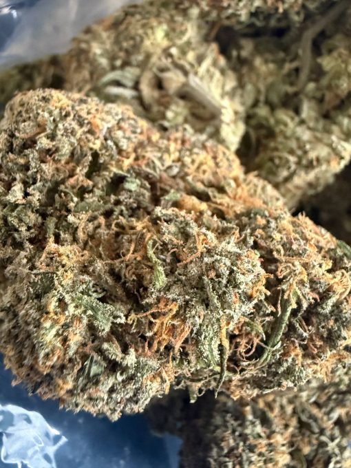 Sherb Cream Pie (AAAA+)