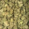 Pink Rockstar Smalls (AAAA)