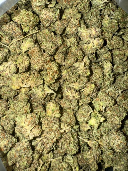 Pink Rockstar Smalls (AAAA)