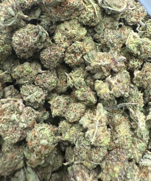 Pink Rockstar Smalls (AAAA)