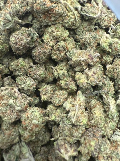 Pink Rockstar Smalls (AAAA)