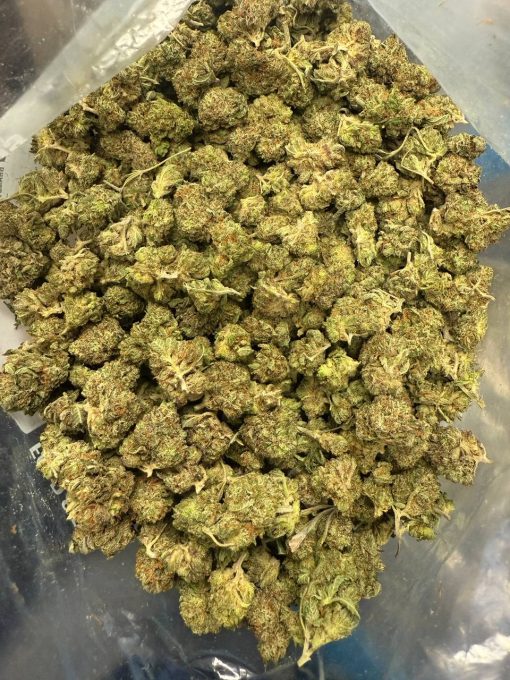 Pink Rockstar Smalls (AAAA)