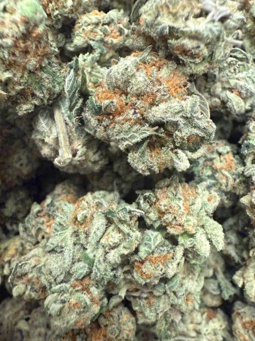 White Wedding Smalls (AAAA) - BULK