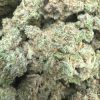 Mac Donut Smalls (AAAA+) - BULK
