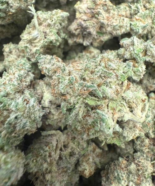 Mac Donut Smalls (AAAA+) - BULK