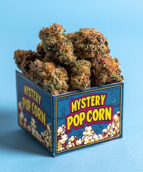 Mystery Popcorn AA