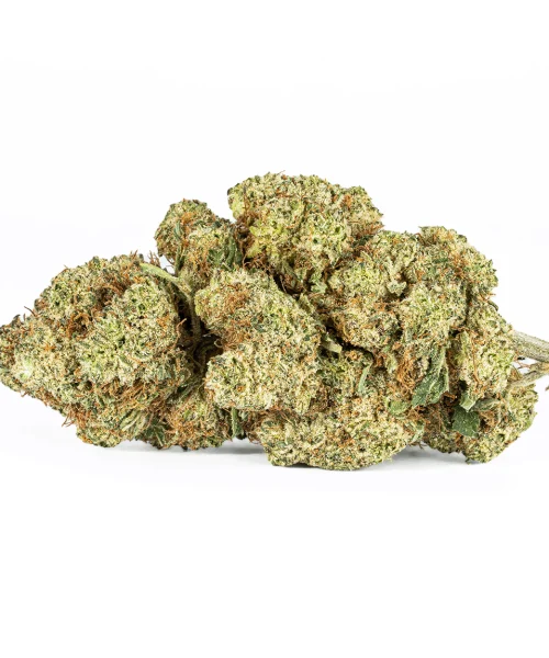 Extreme Cream (AAA)