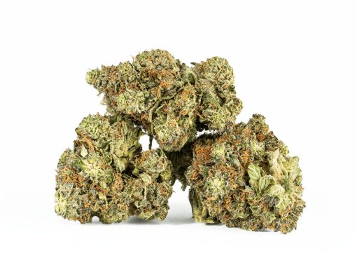 Ace Killer Og (AAA+)