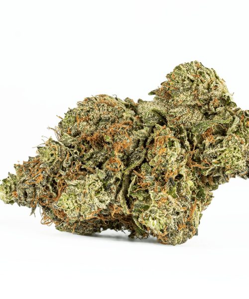 Ace Killer Og (AAA+)