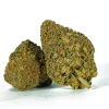 Beaver Tail (AA+)