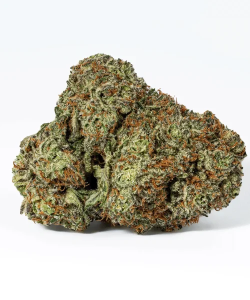 Blackberry Headband (AAA+)
