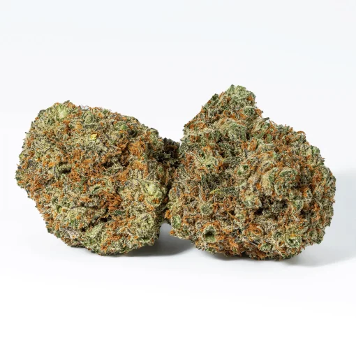 Blackberry Headband (AAA+)