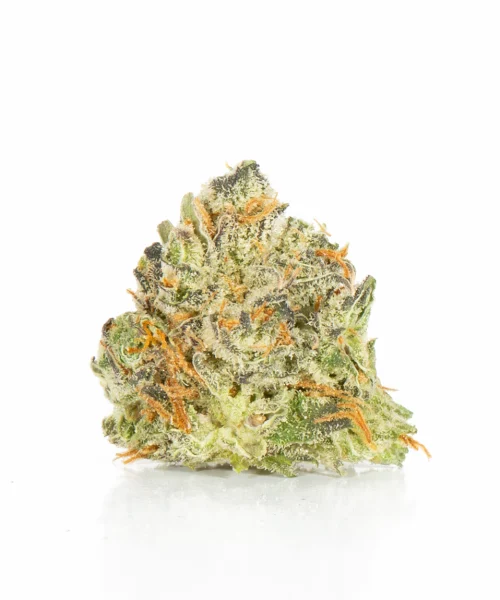 Blackberry x Blueberry (AA+)