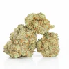 Blackberry x Blueberry (AA+)