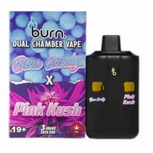 burn extracts dual chamber disposable vape slurricane super runtz vape spain