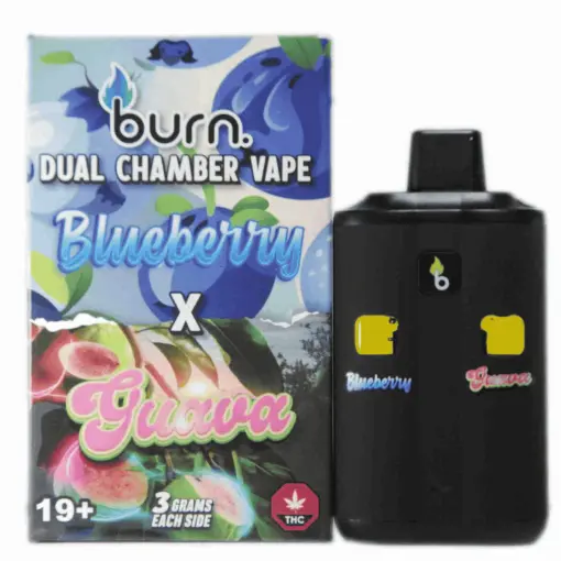 Buy Burn Dual Chamber - THC Disposable Vapes (6G) (3+3 Gram) - Weed  Delivery Vancouver