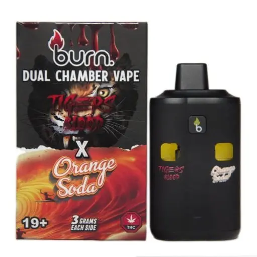Buy Burn Dual Chamber - THC Disposable Vapes (6G) (3+3 Gram) - Weed  Delivery Vancouver