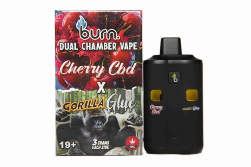 Burn Dual 6g Vape - Image 3