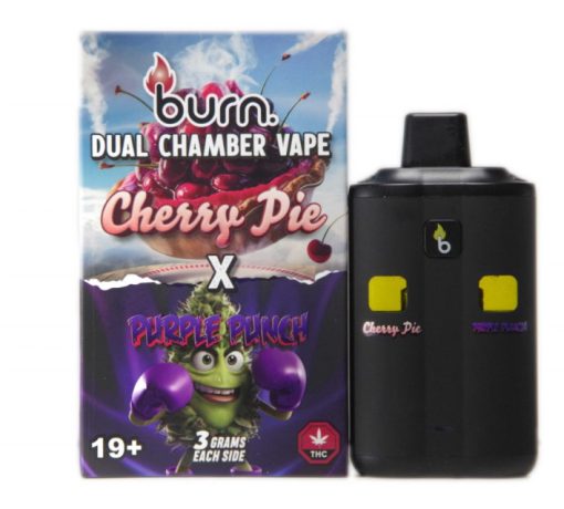 Burn Dual 6g Vape - Image 2