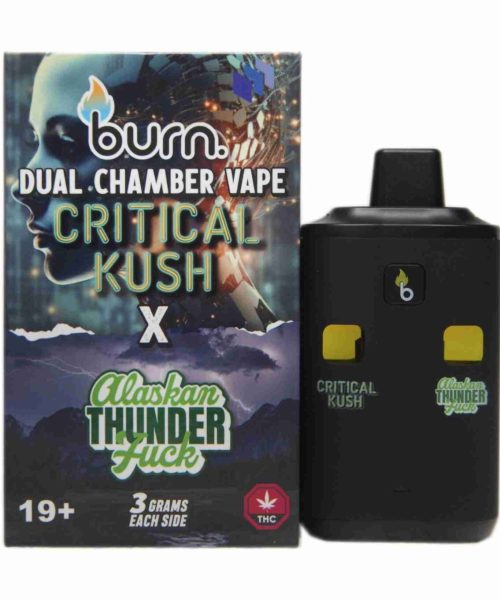 Burn Dual 6g Vape