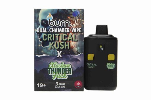Burn Dual 6g Vape