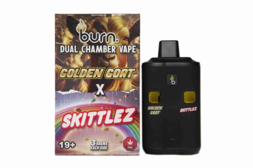 Burn Dual 6g Vape - Image 5
