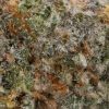 Grey Goose (AAAA+)