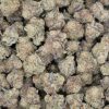 Slurricane (AAAA+/Popcorn)