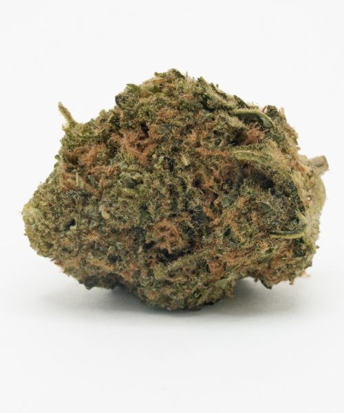 Blueberry Muffin (AA)