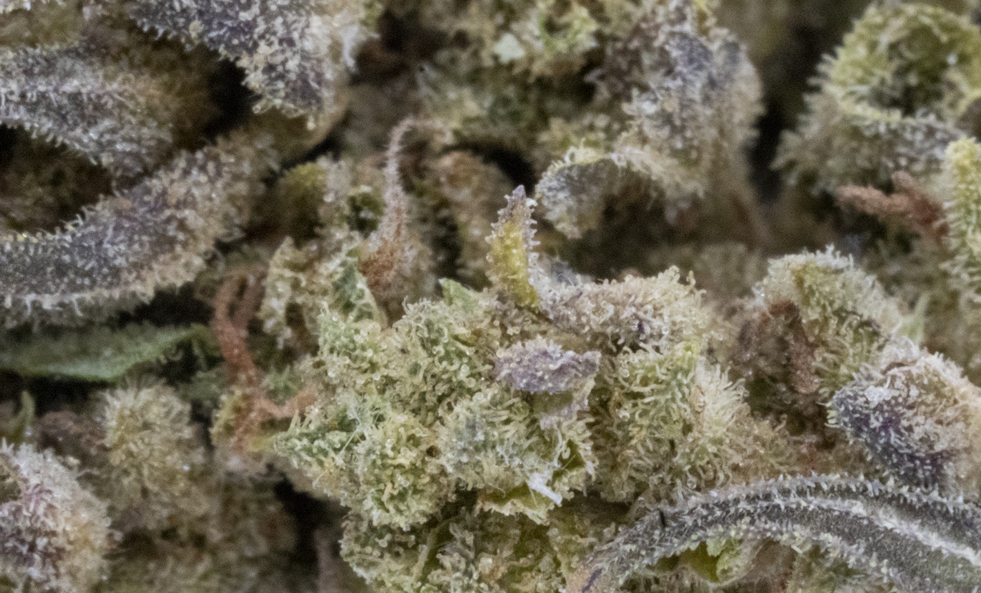 Banana Bread (AA/AA+)