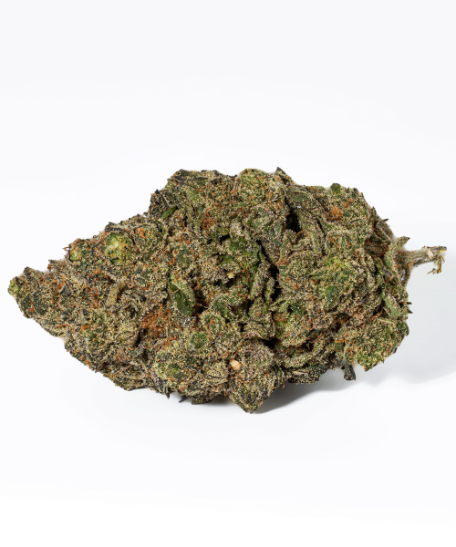 Grunk Panda (AAAA)