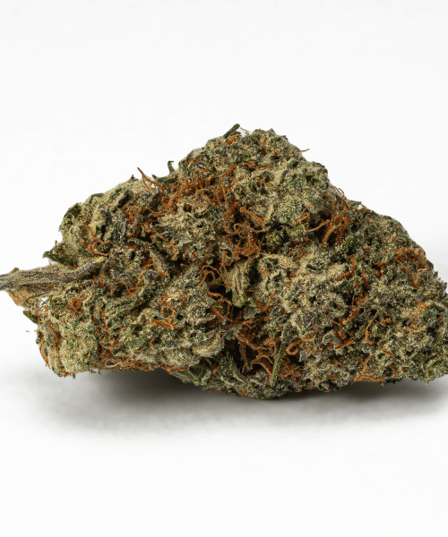 Frosty (AA+)