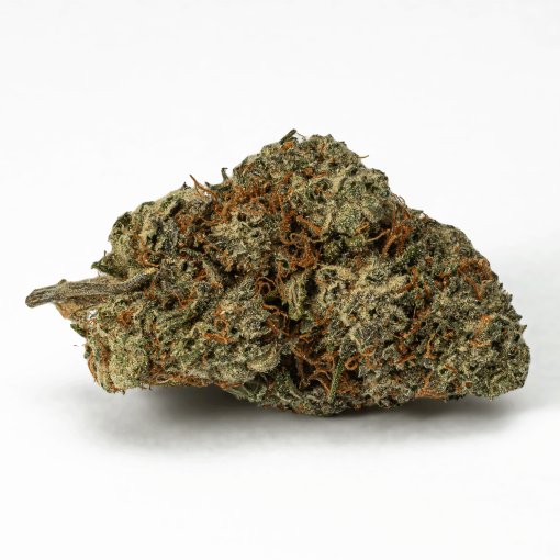 Frosty (AA+)