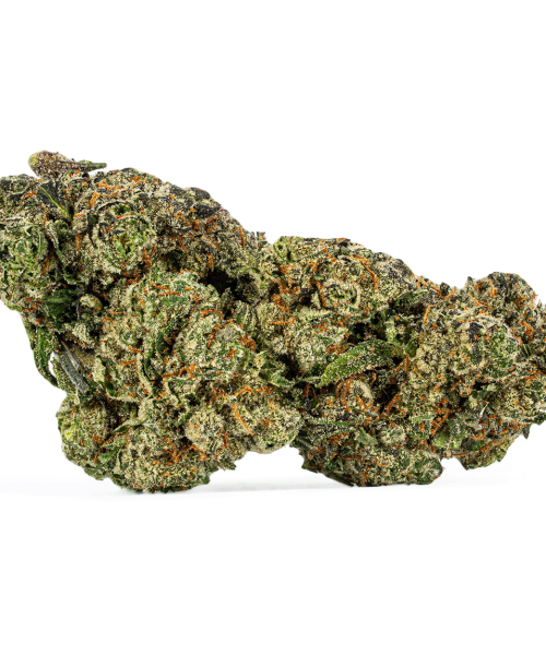 Humboldt Frost (AAAA)