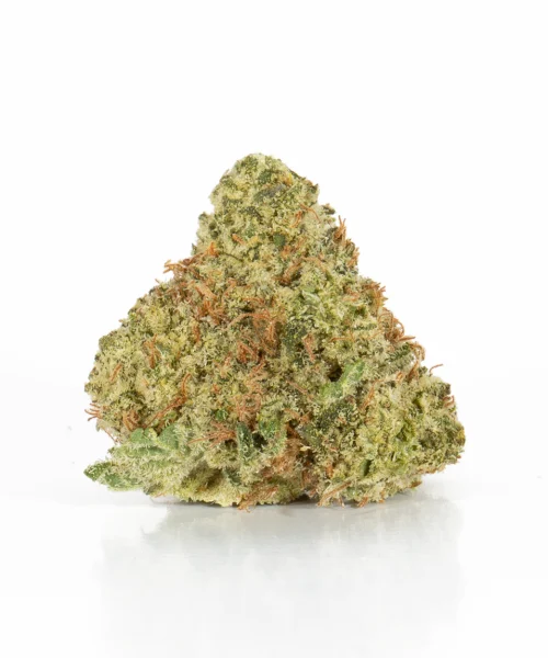 Gelato (AAA+)