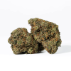 Gorilla Pink (AAA+)