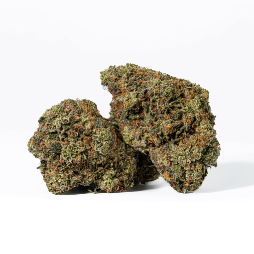 Gorilla Pink (AAA+)