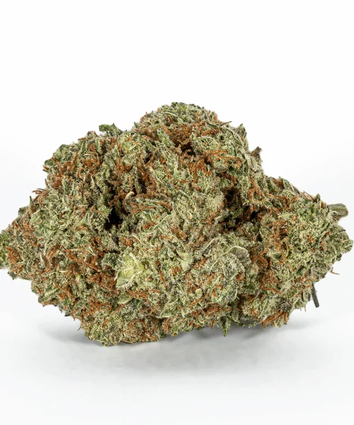 Happy Hour (AA+)