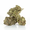 Master Bubba (AAA+)