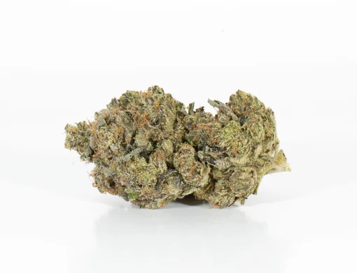 Master Bubba (AAA+)